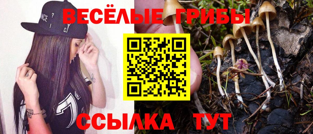 Галлюциногенные грибы мухоморы  Вход с VPN  Великие Луки 