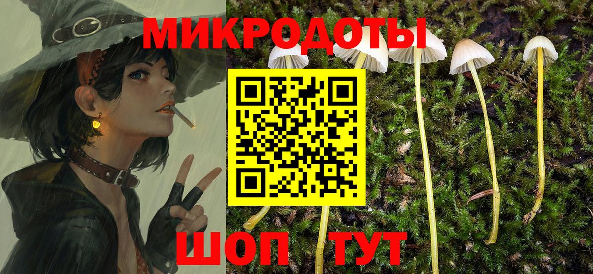 Псилоцибиновые грибы GOLDEN TEACHER Великие Луки